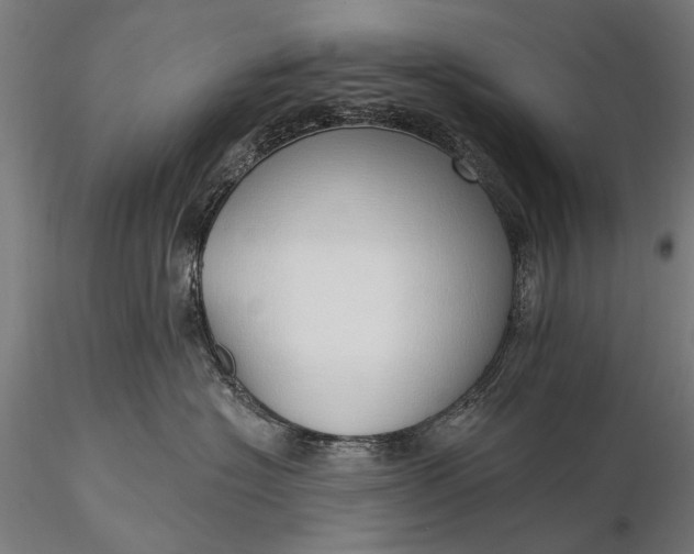 X0000116110574200912071325