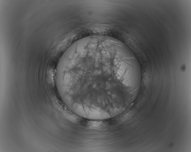 X0000116110575200912071325