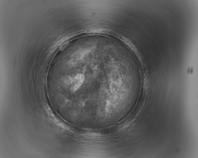 X0000116110577200912071325