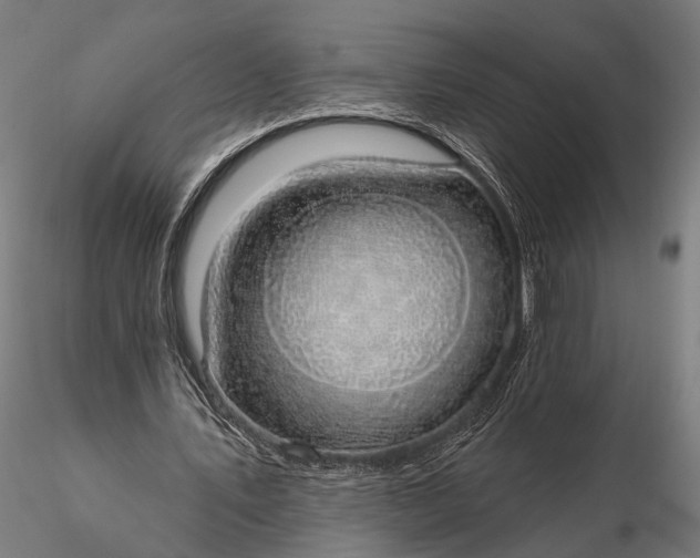 X0000116110579200912071324