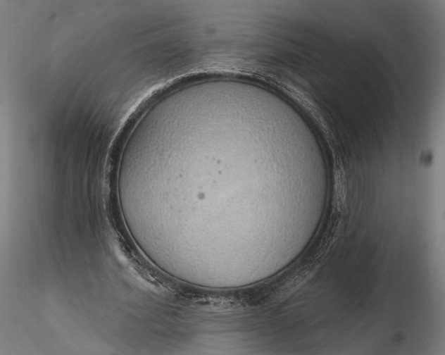 X0000116110580200912071324