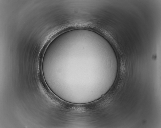 X0000116110582200912071324