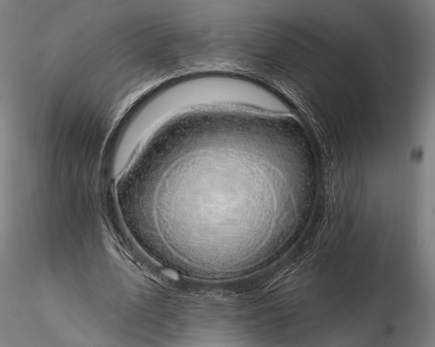 X0000116110583200912071324