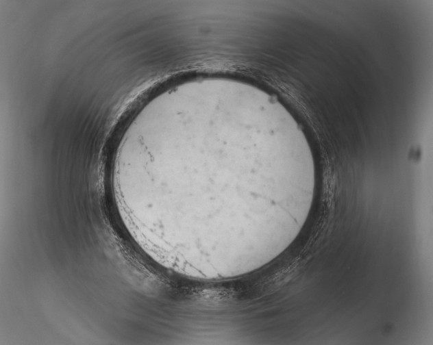 X0000116110584200912071324