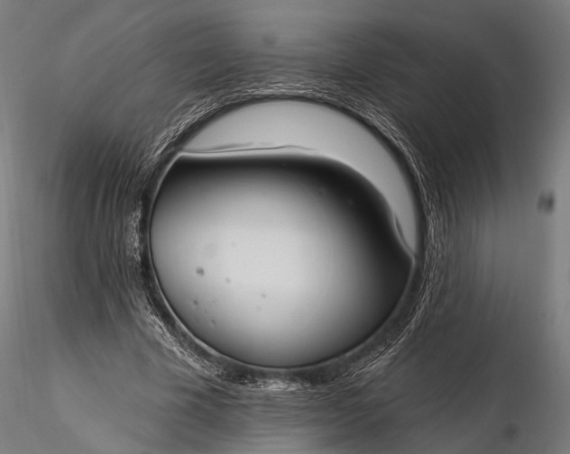 X0000116110585200912071324