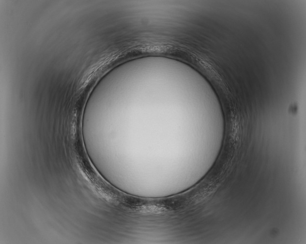 X0000116110586200912071324