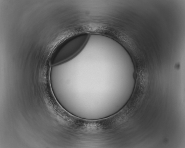 X0000116110587200912071324