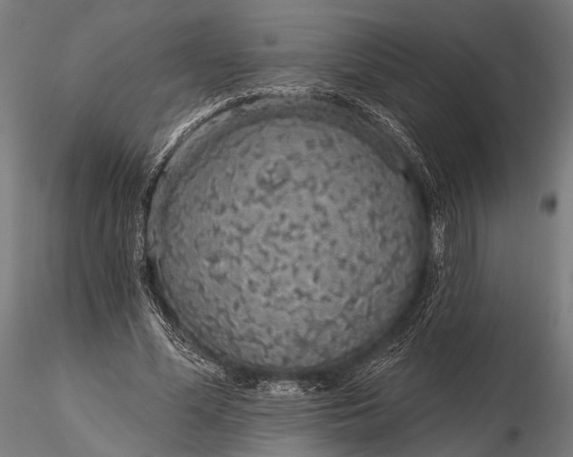 X0000116110588200912071324