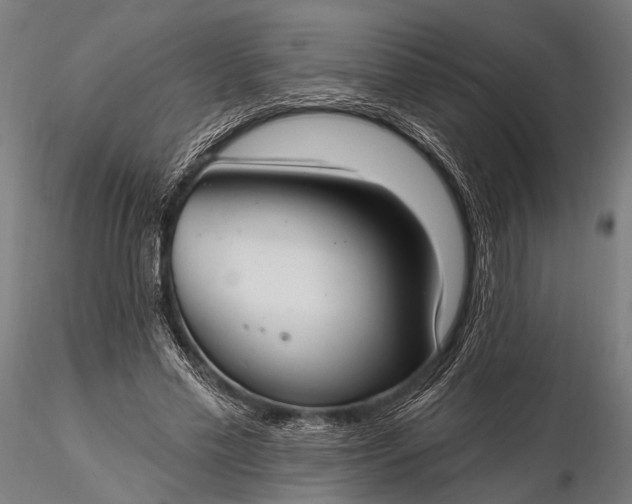 X0000116110589200912071324