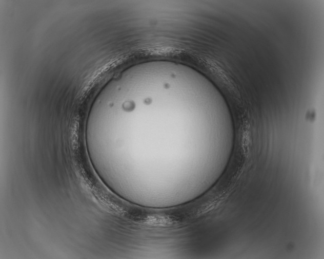 X0000116110591200912071324