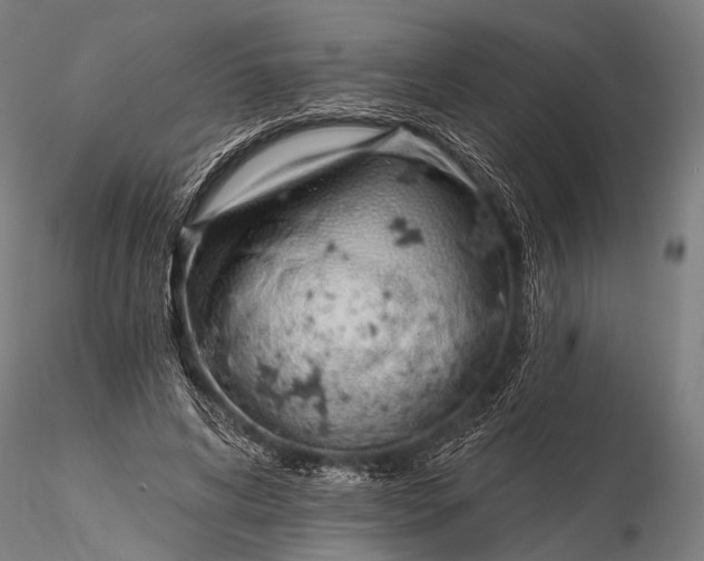 X0000116110592200912071324