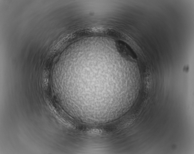 X0000116110593200912071324