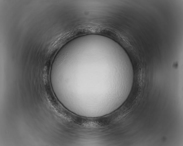 X0000116110594200912071324