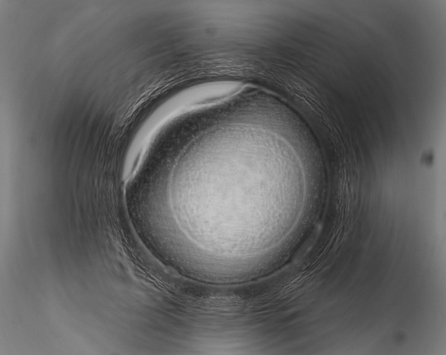 X0000116110595200912071324