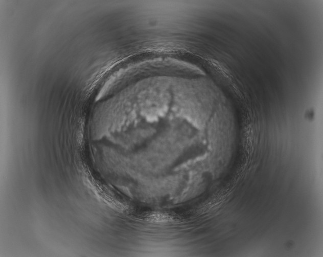 X0000116110596200912071324