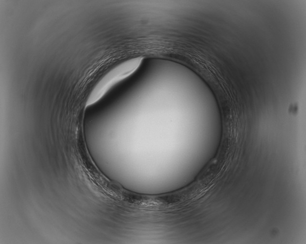 X0000116110599200912071324