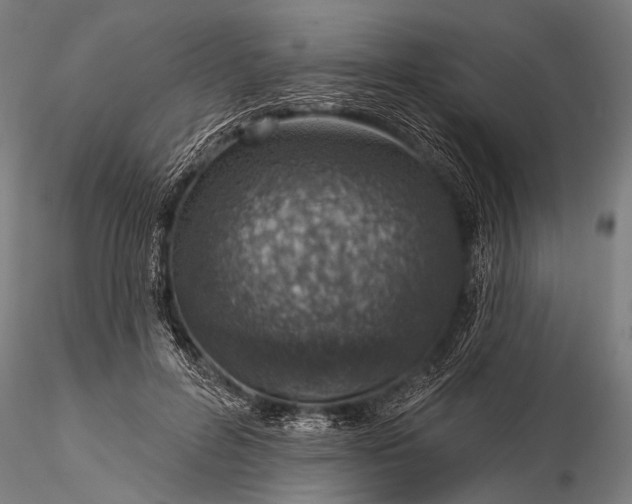 X0000116110600200912071324