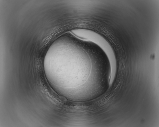 X0000116110601200912071324