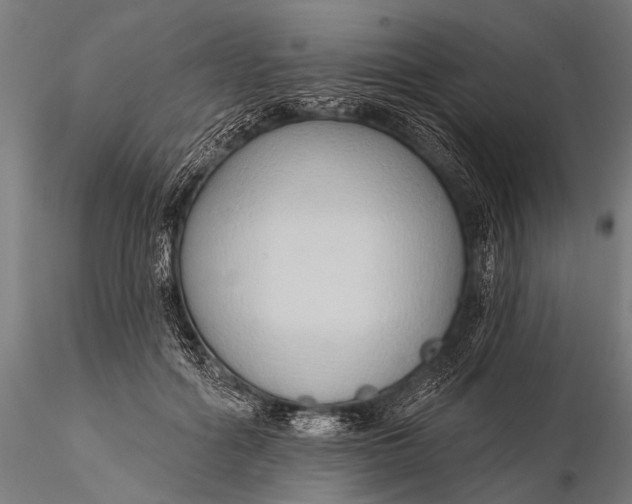 X0000116110602200912071324