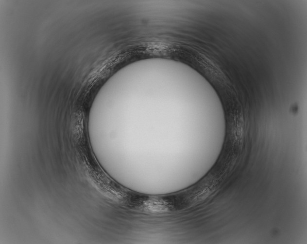 X0000116110603200912071324