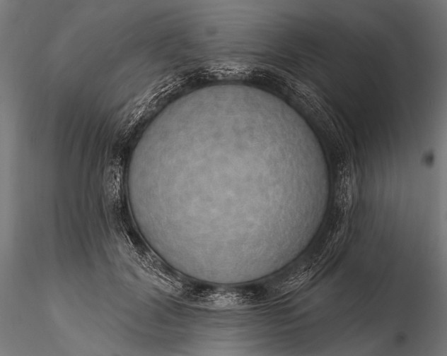 X0000116110604200912071324