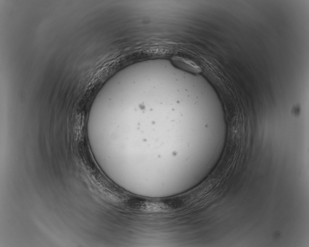 X0000116110605200912071324