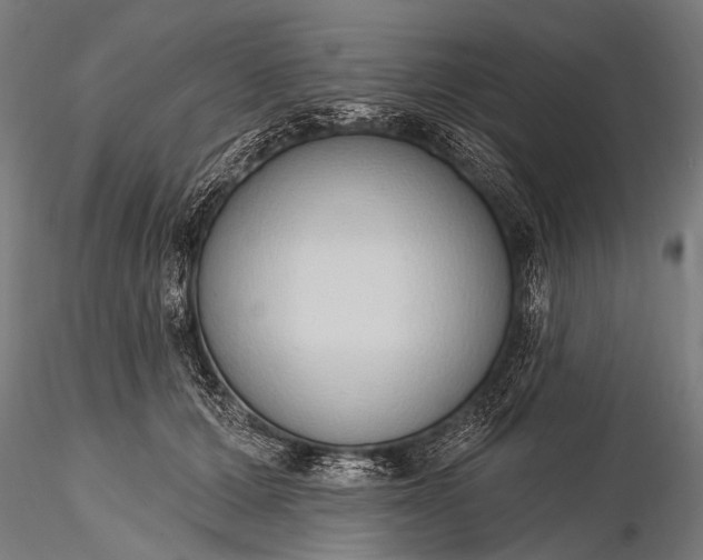 X0000116110607200912071324