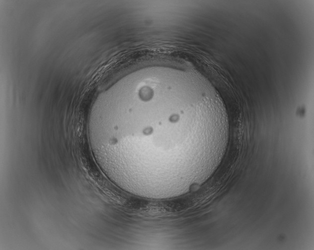 X0000116110608200912071324