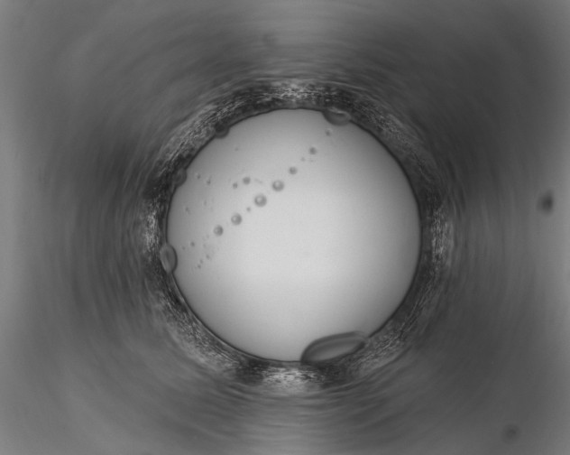 X0000116110611200912071324