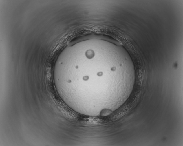 X0000116110612200912071324