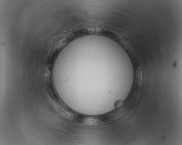 X0000116110614200912071324