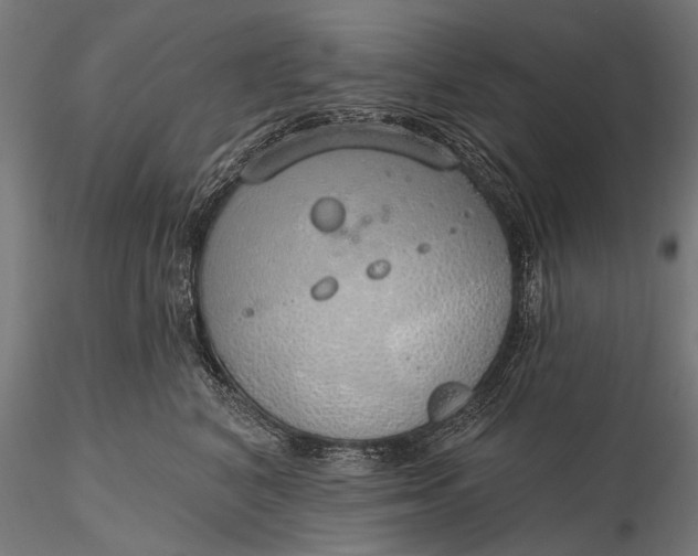 X0000116110616200912071324