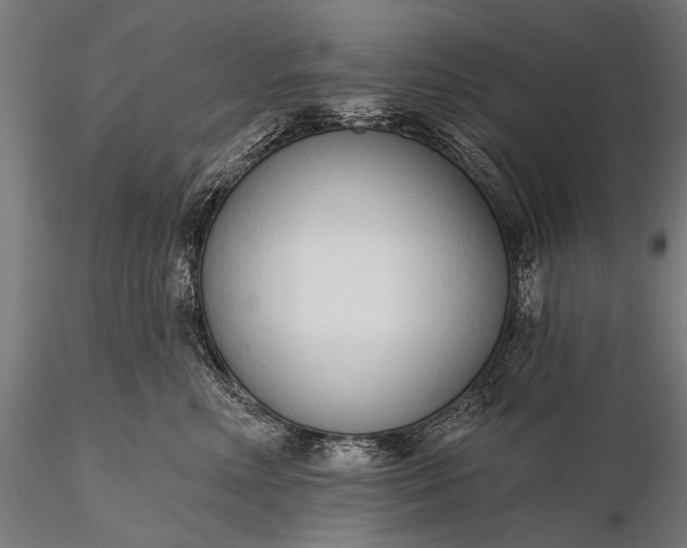 X0000116110618200912071324