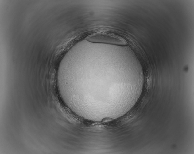 X0000116110620200912071324