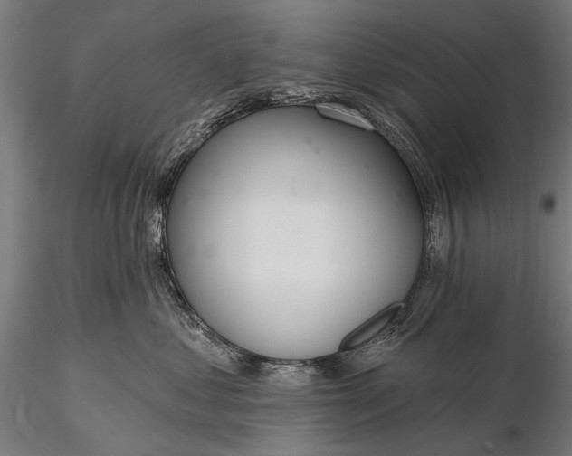 X0000116110621200912071324