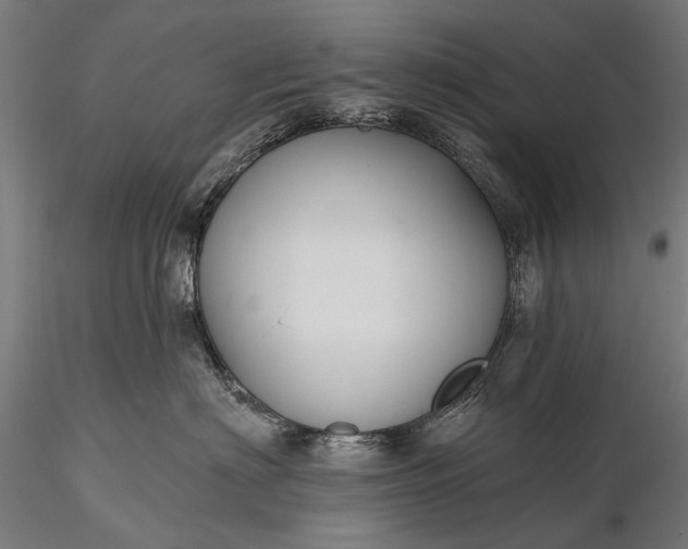 X0000116110622200912071324