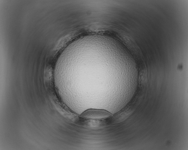 X0000116110623200912071324