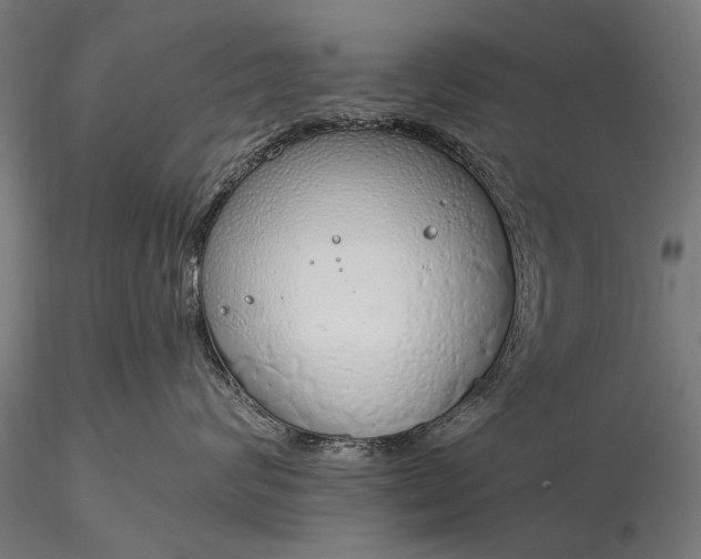 X0000116110624200912071324