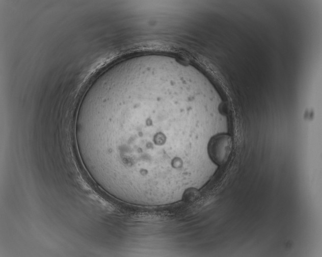 X0000116110625200912071323