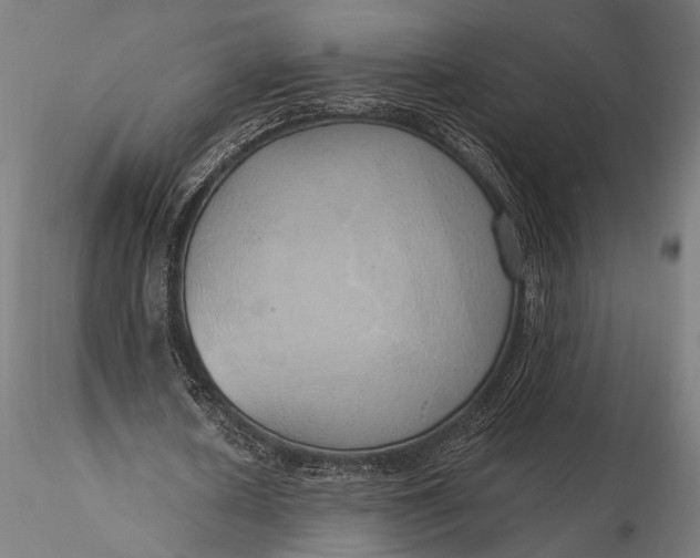 X0000116110626200912071323