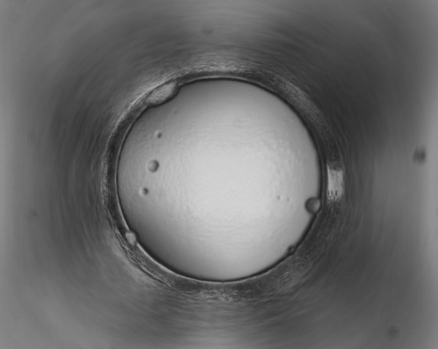 X0000116110627200912071323