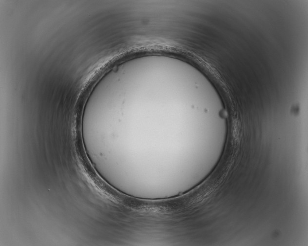 X0000116110629200912071323