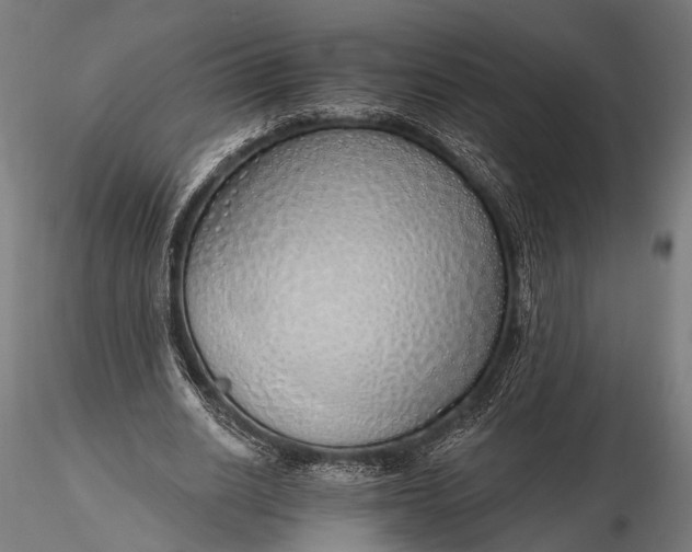 X0000116110630200912071323