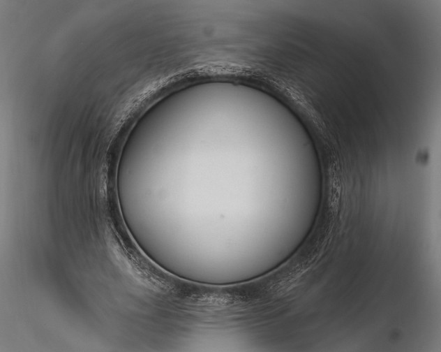 X0000116110631200912071323