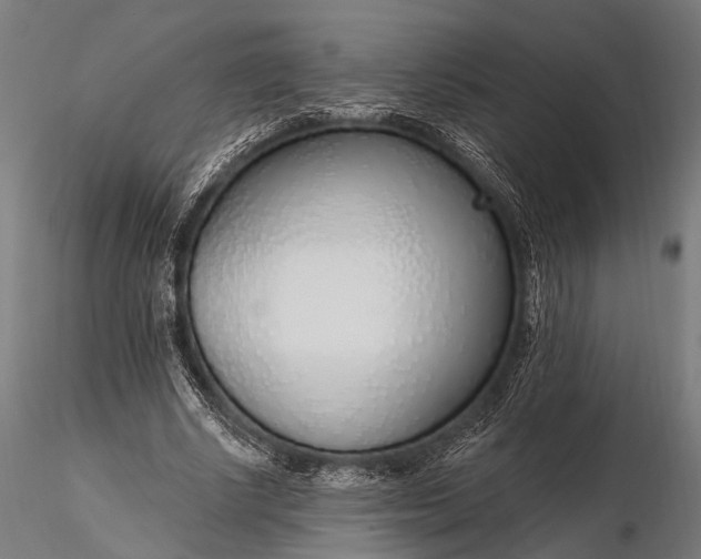 X0000116110634200912071323