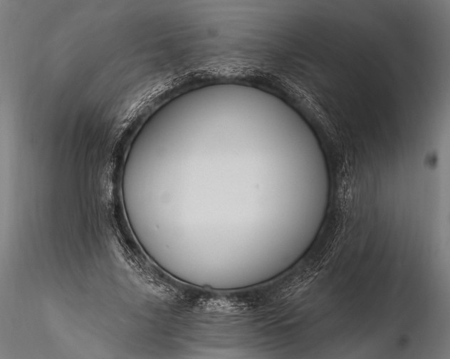 X0000116110635200912071323