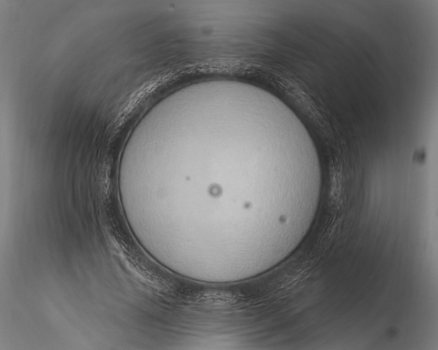 X0000116110636200912071323