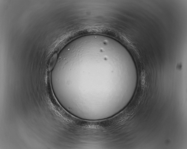 X0000116110637200912071323