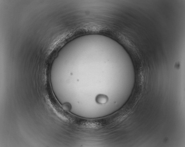 X0000116110638200912071323