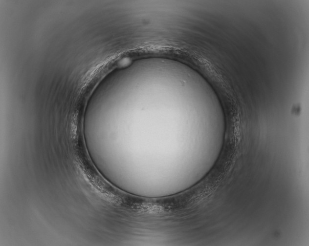 X0000116110640200912071323